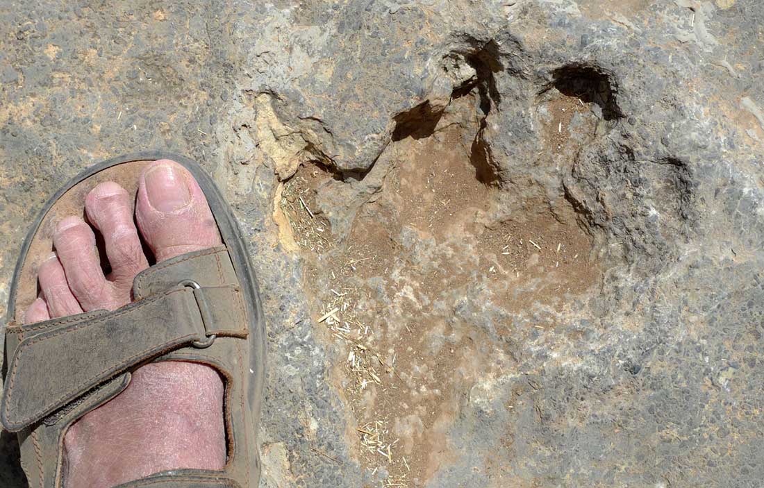 Empreinte de pas de dinosaure dans le calcaire, massif du M'Goun